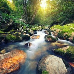 Meet your Posher, Sherry